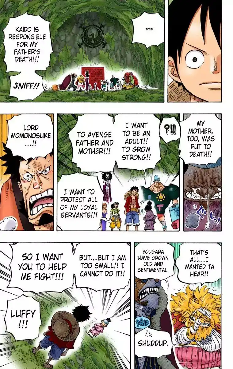 One Piece - Digital Colored Comics Chapter 819 11